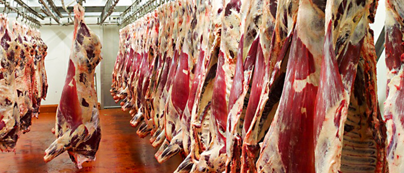 Affugtning i kødindustrien-Trotec